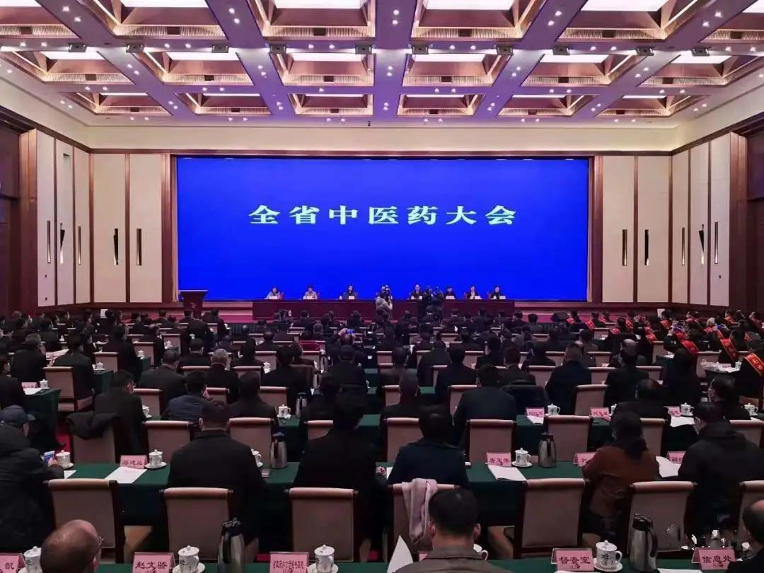 见证盛典，公司应邀参加 湖南省中医药大会